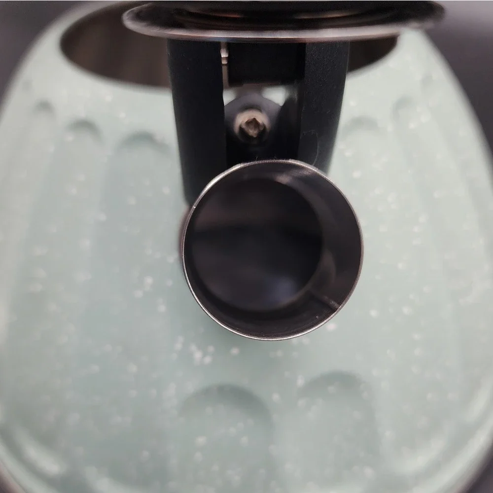 Dolly Parton Mint Green Speckled Whistling Tea Kettle Stainless Stovetop Retro